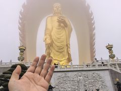 -庐山风景名胜区-东林大佛