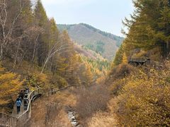 -苏木山森林公园