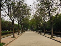 -洛阳市隋唐城遗址植物园