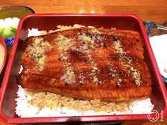 -千代武日本料理(爱建店)