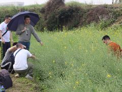 -光明小镇欢乐田园