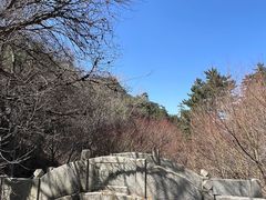 -华山风景名胜区