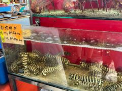 -大树下海鲜饭店