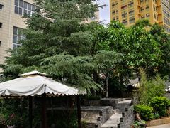 -山菌美食苑(振兴路店)