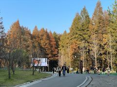 -山王坪喀斯特国家生态公园