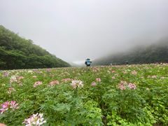 -广州市石门国家森林公园