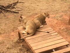-昆明动物园