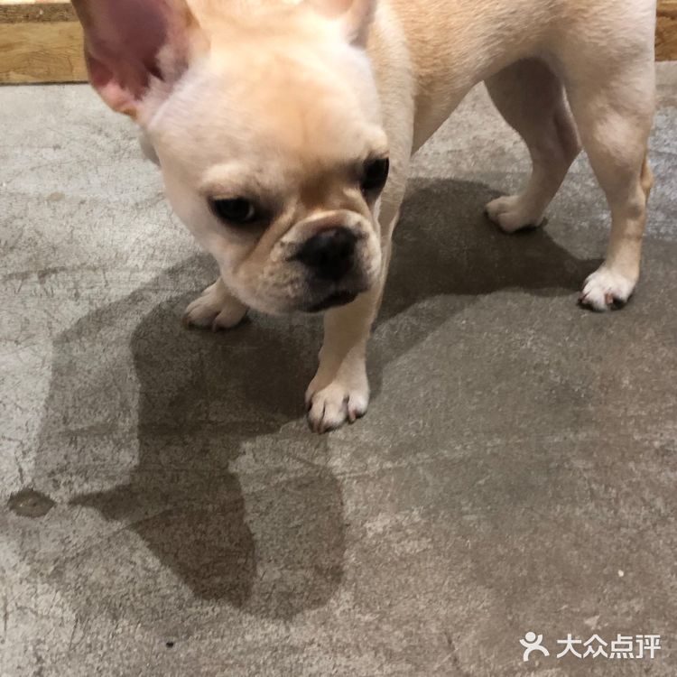 上海 ｜ 精致· 日本风