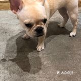 上海 ｜ 精致· 日本风