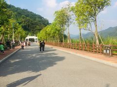 -羚羊峡古栈道森林公园