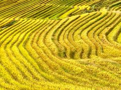 -龙脊梯田