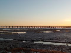 -宝安西湾红树林湿地公园