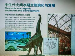 -中国第四纪冰川遗迹陈列馆