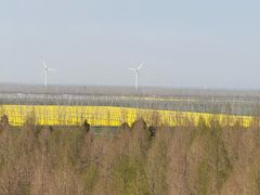 -黄海国家森林公园