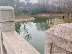 -贡湖湾湿地公园