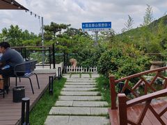 -蘇河湾·新鲁菜·泰山宴(泰山店)