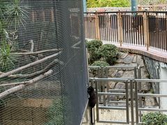 -九龙公园