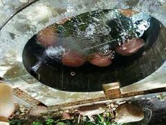 -三亚珠江南田温泉度假区