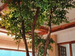 -蜜桃餐厅·伴山(湖滨商业街店)