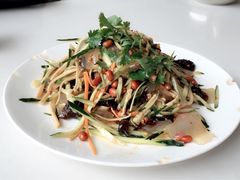 东北大拉皮-萍香大厨·锅包肉(大东门店)