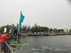 -白洋淀景区