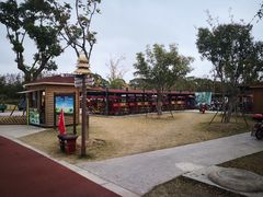 -上海长兴岛郊野公园