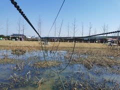 -枫林花海