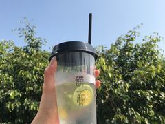 -馔豚·台北菜专门店(深圳湾万象城店)