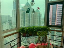 -九月瑜伽·普拉提