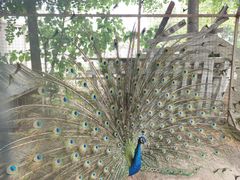 -意大利农场度假村