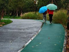 -回龙观体育文化公园