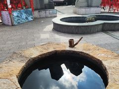 -墨江北回归线标志园