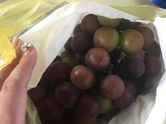 -马陆小张葡萄园农家乐