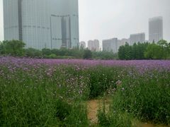 -艾溪湖湿地公园