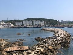 -大连老虎滩海洋公园