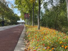 -上海长兴岛郊野公园