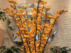 -鹿港小镇(黄金店)