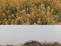 -中国天府农业博览园