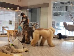 -赢吧Bliss音乐酒吧
