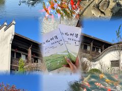 -宁波杭州湾国家湿地公园
