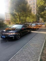 -蚂蚁婚车