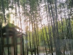 -苏州环秀晓筑养生度假村