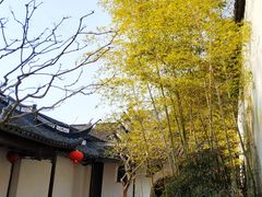 -上海醉白池公园
