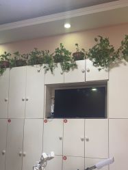 -香薇妮丝·定制减肥·身材管理