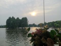 -东湖食堂·湖景餐厅•会议