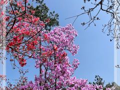 -岳西天峡风景区