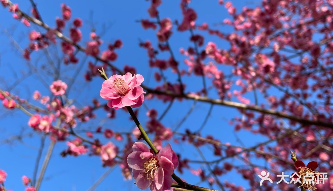 万物自有它的季节，耕种、锄草，花开时看花