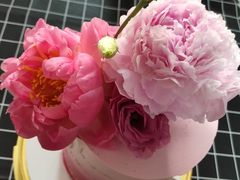 -Biteology Artisan Cakes(红庄·国际文化保税创新园店)