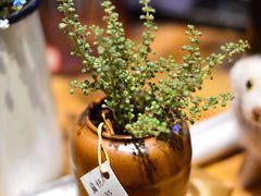 -杭州街角花屋花店(闻堰店)