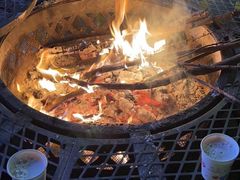 -二荆条·蜀鲜汇城市森林火锅